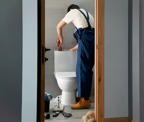 Professional Plumbers for Toilet Bowl Replacement in Lawrenceville, GA: Schedule Affordable Toilet Replacement Services With Us